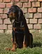 dsc_0037_613x800.jpg
