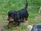 dsc_0038_800x610.jpg