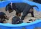 dsc_0041_800x576.jpg
