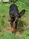 dsc_0045_592x800.jpg