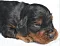 dsc_0048_7rde_lila.jpg