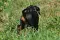 dsc_0051_800x539.jpg