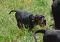 dsc_0051_800x564.jpg