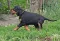 dsc_0054_800x548.jpg