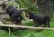 dsc_0060_800x551.jpg