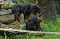 dsc_0066_800x526.jpg