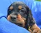dsc_0069_800x640.jpg