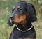 dsc_0071_800x749.jpg