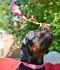 dsc_0085_881x1024.jpg