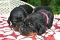 dsc_0101_1024x678.jpg