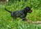 dsc_0102_1.jpg