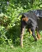 dsc_0102_648x800.jpg