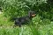 dsc_0105.jpg