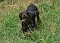 dsc_0115_800x578.jpg