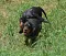 dsc_0116_800x684.jpg