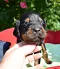 dsc_0123_890x1024.jpg