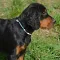 dsc_0124_797x800.jpg
