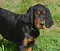 dsc_0126_800x683.jpg