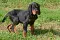 dsc_0128_800x530.jpg