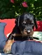 dsc_0146_787x1024.jpg