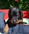 dsc_0147_885x1024.jpg