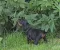 dsc_0166.jpg
