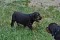 dsc_0180_800x530.jpg