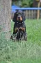 dsc_0186_530x800.jpg