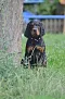 dsc_0187_530x800.jpg