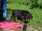 dsc_0274_800x601.jpg