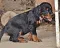 dsc_0281_800x641.jpg