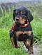 dsc_0286_3rot.jpg