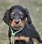 dsc_0288_2.jpg
