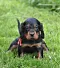dsc_0298_2.jpg