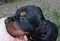 dsc_0315_800x548.jpg