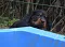 dsc_0420_800x587.jpg