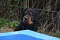 dsc_0421_800x530.jpg