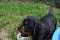 dsc_0426_800x530.jpg