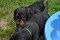 dsc_0441_800x530.jpg