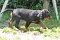 dsc_0479_800x530.jpg
