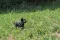 dsc_0500_800x530.jpg