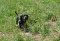 dsc_0503_800x553.jpg