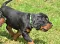 dsc_0530_800x587.jpg