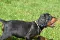 dsc_0565_800x530.jpg