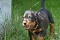 dsc_0605_800x530.jpg