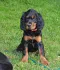 dsc_0619.jpg