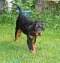 dsc_0621.jpg