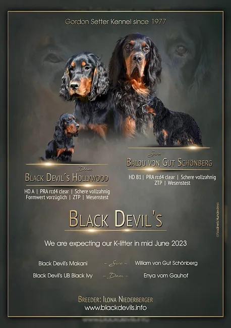 https://blackdevils.info/userdata/4434/uploads/1kwurf_2.jpg
